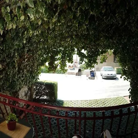 Dubravka Apartment *